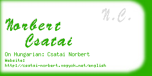 norbert csatai business card